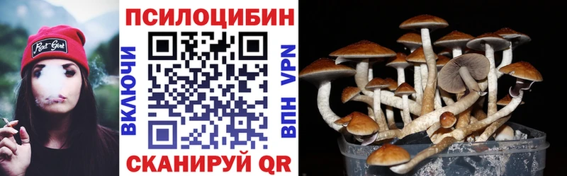 Галлюциногенные грибы Cubensis  мега маркетплейс  Енисейск 
